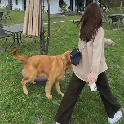 墓道